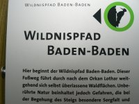 Schild Wildnispfad Baden-Baden